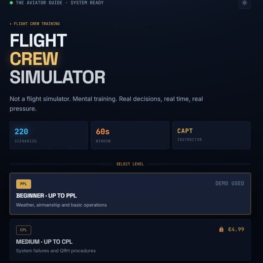 quiz pilot decision making